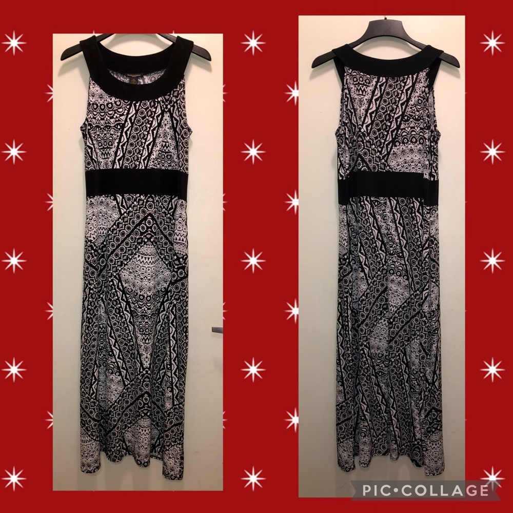 SUSAN LAWRENCE WOMAN MAXI  2X NWOT